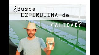 Espirulina de alta calidad qué es la spirulina paso a paso [upl. by Gypsy]