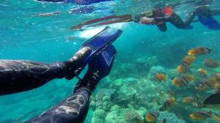 Amazing Snorkeling in BALI NUSA PENIDA  MANTA RAY [upl. by Stewardson]