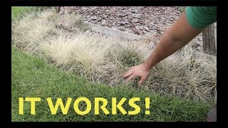 DIY Weed Killer that is SAFE and EFFECTIVE [upl. by Draneb]