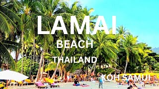 LAMAI BEACH SERIES ONE KOH SAMUI THAILAND [upl. by Dumanian156]