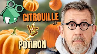 🎃 CITROUILLE VS POTIRON  quelles différences [upl. by Giulietta]