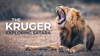 KRUGER NATIONAL PARK  The Secrets It Shares  Satara [upl. by Errot]