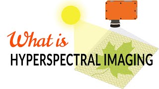 What is hyperspectral imaging  Tutorial [upl. by Rosalyn202]