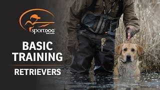 Basic Training  Retrievers [upl. by Suchta174]