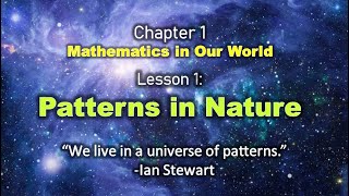 Patterns in Nature [upl. by Lashonde]