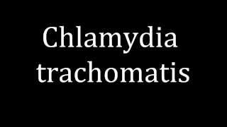 How to pronounce Chlamydia trachomatis [upl. by Ahseyk]