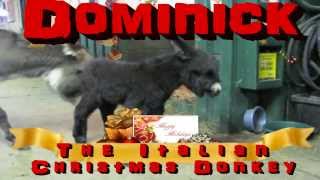 Dominick The Italian Christmas Donkey [upl. by Whitnell]