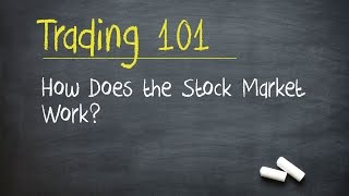 Trading 101 How Does the Stock Market Work [upl. by Bourque]