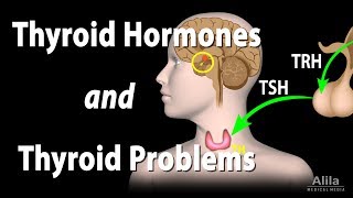 HYPOTHYROIDISM DURING PREGNANCY AND HOW TO MANAGE IT [upl. by Barth]