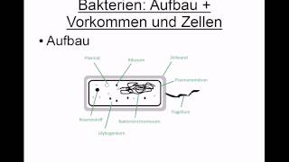 Bakterien Eigenschaften und Aufbau [upl. by Lowrance]