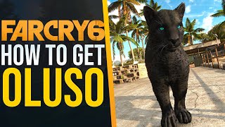 How to get the BEST AMIGO Oluso in Far Cry 6 [upl. by Kast]