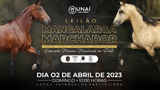 LEILÃO MANGALARGA MARCHADOR  UNAÍ LEILÕES  02042023 [upl. by Stegman]