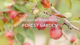 Permaculture and agroforestry in the Forest Garden at RHS Garden Bridgewater  The RHS [upl. by Aleinad]