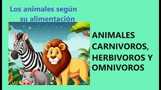 ANIMALES CARNIVOROS HERBIVOROS Y OMNIVOROS PARA NIÑOS [upl. by Ocin495]