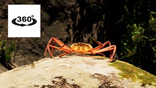 Noisestorm Crab Rave Monstercat Extended Music Video 1 Hour Remix [upl. by Adolphe749]