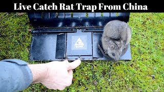 A Live Catch Rat Trap From China Mousetrap Monday [upl. by Torras]