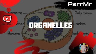 Organelles Song [upl. by Eanahc578]