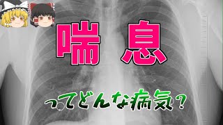 【ゆっくり解説】命に関わる！？ 喘息ってどんな病気？【医学】 [upl. by Enelrahc]