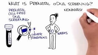 How To OB Ultrasound  Normal Pregnancy Case Study Video [upl. by Schaefer]