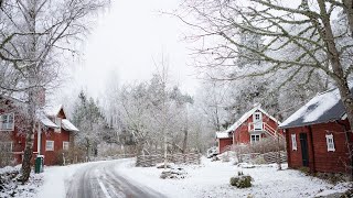 ▷ MY LITTLE VILLAGE IN THE SWEDISH COUNTRYSIDE [upl. by Justen307]