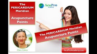 Pericardium Acupuncture Points [upl. by Aissej]