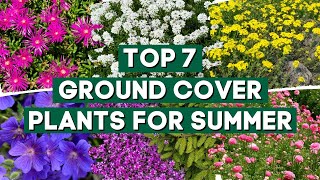 7 Ground Cover Plants That Bloom All Summer ☀️✨ PlantDo Home amp Garden [upl. by Nosyd]