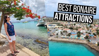 Bonaire Travel Guide  The Best Things to See and Do in Bonaire [upl. by Hilar737]