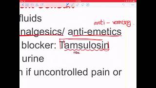 Urolithiasis  Urology [upl. by Eifos]