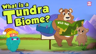 TUNDRA BIOME  What Is A Tundra Biome  Tundra Region  The Dr Binocs Show  Peekaboo Kidz [upl. by Karub]