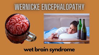 Wernicke Encephalopathy  Wet Brain Syndrome [upl. by Scarito]