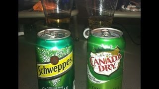 Canada Dry VS Schweppes Ginger Ale Battle Review [upl. by Shorter]