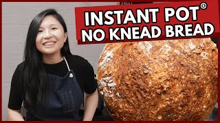 Instant Pot Bread 15  Easy 4Ingredient No Knead Bread [upl. by Decrem]