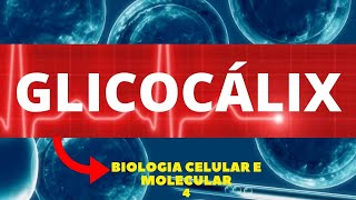 GLICOCÁLIX  MEMBRANA PLASMÁTICA  BIOLOGIA CELULAR E MOLECULAR  AULA 4 [upl. by Nagiem]