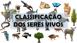 CLASSIFICAÇÃO DOS SERES VIVOS [upl. by Aitsirhc]