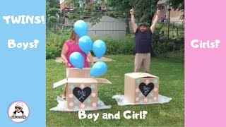 10 Twin Gender Reveal 2018  Twins Pregnancy Announcement [upl. by Virgin189]