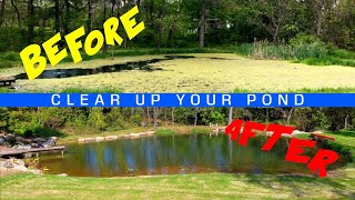 How To Clear Up Your Pond Water [upl. by Vitkun]