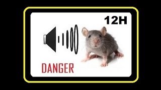 Sound to Drive Away RATS from Home [upl. by Iris]