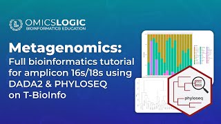 Metagenomics Full tutorial for amplicon 16s18s pipeline  DADA2 and PHYLOSEQ on the TBioInfo [upl. by Wittenburg306]