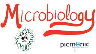 Microbiology Part 1 Introduction  Actinomyces israeli Listeria Diphtheria Nocardia  Picmonic [upl. by Nnaid883]