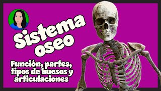 Sistema óseo  esquelético hueso [upl. by Waltner308]