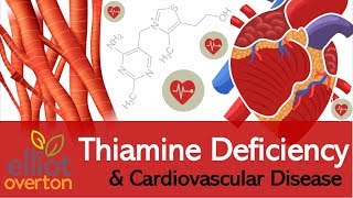 Vitamin B1 Thiamine Deficiency Cardiovascular amp Circulatory Diseases [upl. by Odidnac28]