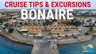 CRUISE TIPS amp EXCURSIONS  BONAIRE  TRAVEL GUIDE [upl. by Melliw792]