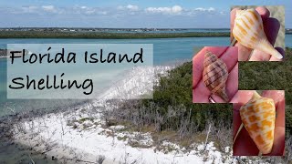 Shelling Gulf Coast sandbars and islands from a kayak No boat no problem PART 1 [upl. by Adyol141]