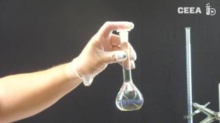 Titration of HCl with NaOH [upl. by Attiuqaj632]