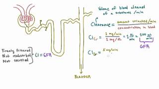 Calculating Clearance  Example Calculations [upl. by Rovit522]