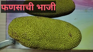 फणसाची भाजीfansachi bhaji recipe [upl. by Heid]