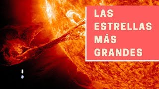 Las estrellas MÁS GRANDES del Universo [upl. by Janelle]