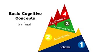 Basic Cognitive Concepts Schema Assimilation Accommodation Equilibration [upl. by Mattland]