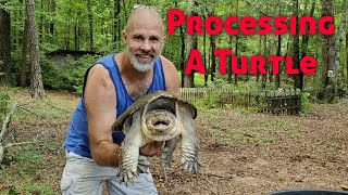 How To Process A Snapping Turtle [upl. by Airak152]