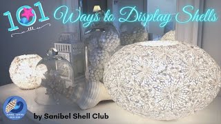 101 Ways to Display Shells [upl. by Sykleb]